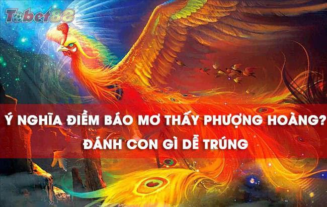 Đắc lý giải giấc mơ thấy chim phượng hoàng