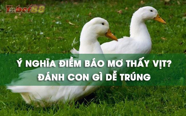 Lý giải ý nghĩa giấc mơ thấy vịt